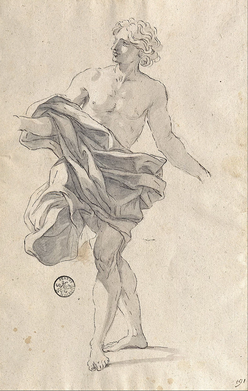 Studio di giovane uomo